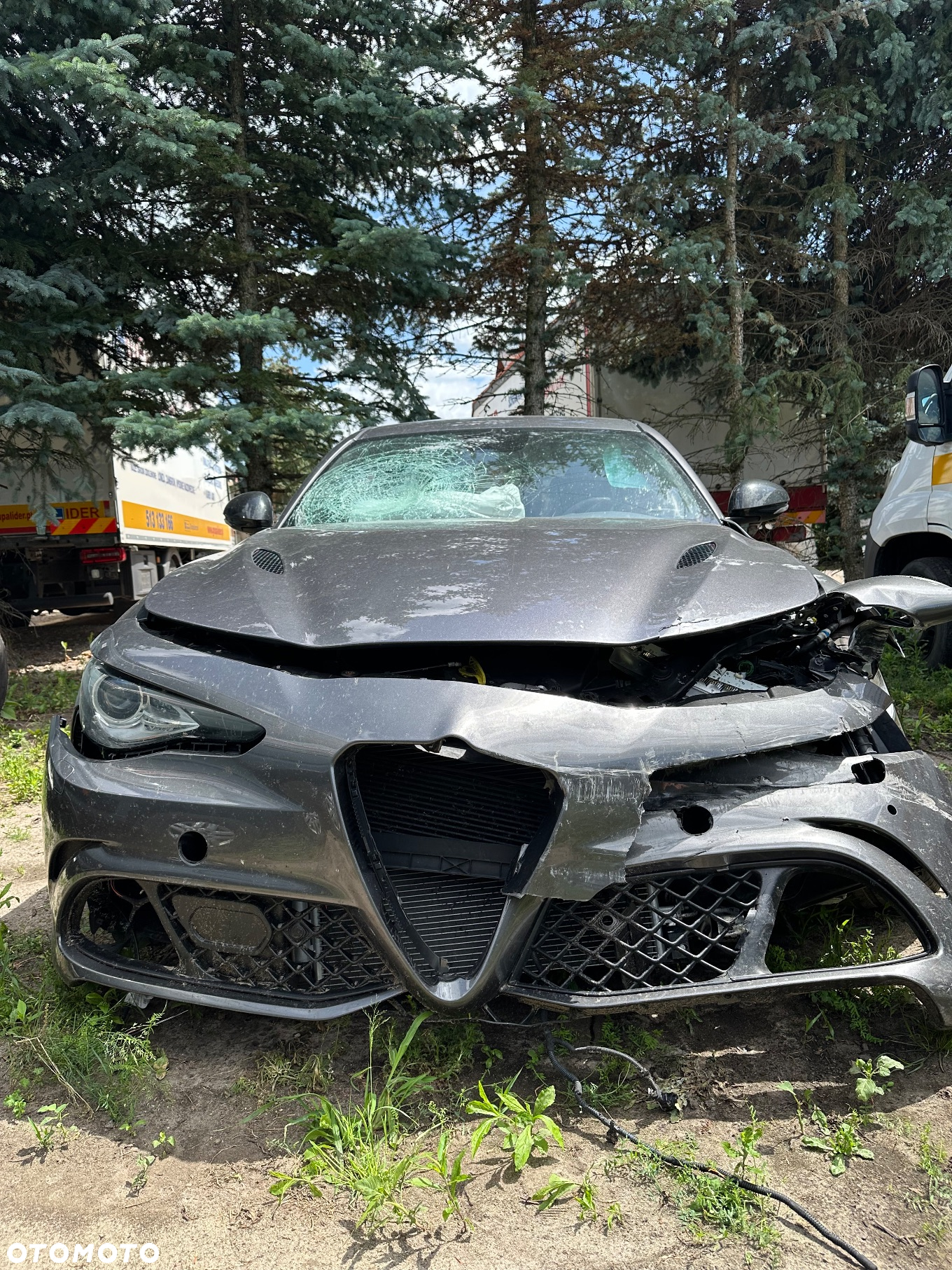 Alfa Romeo Giulia 2.9 Bi Turbo V6 Quadrifoglio - 4
