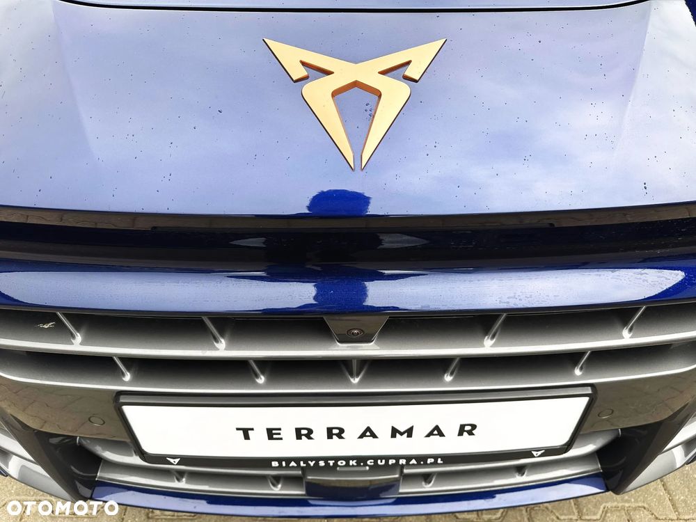 Cupra Terramar 2.0 TSI 4Drive Advantage Edition DCC DSG - 17