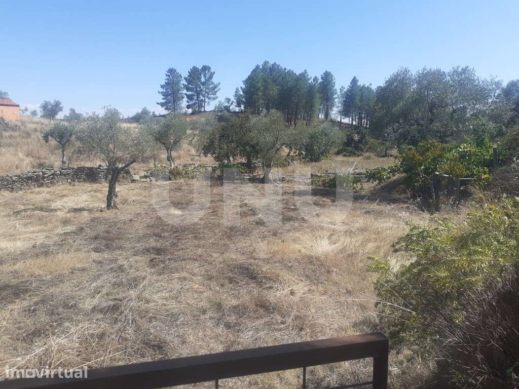 Terreno Rústico com 7500m2 de área - Grande imagem: 3/16