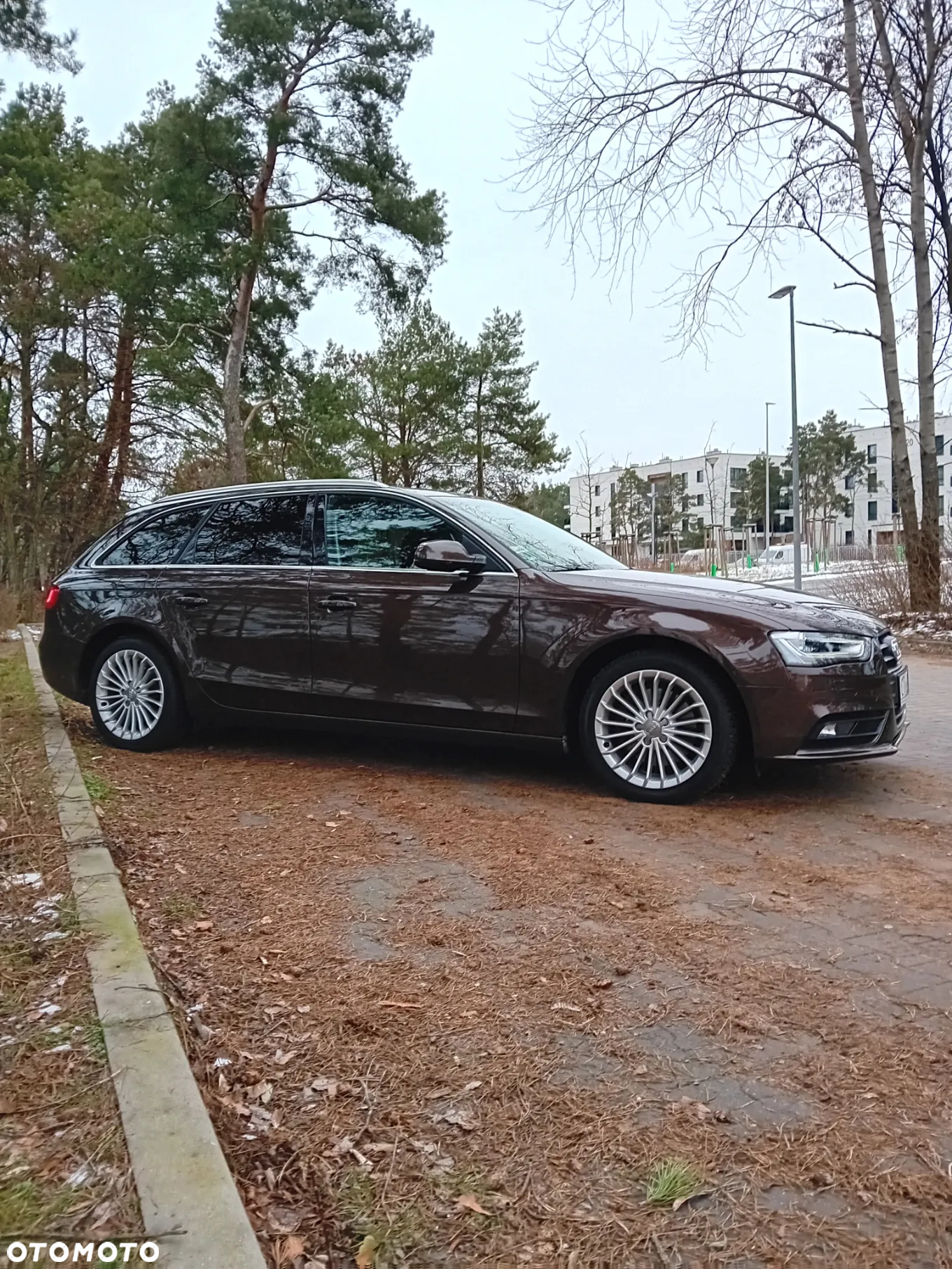 Audi A4 3.0 TDI Multitronic - 5