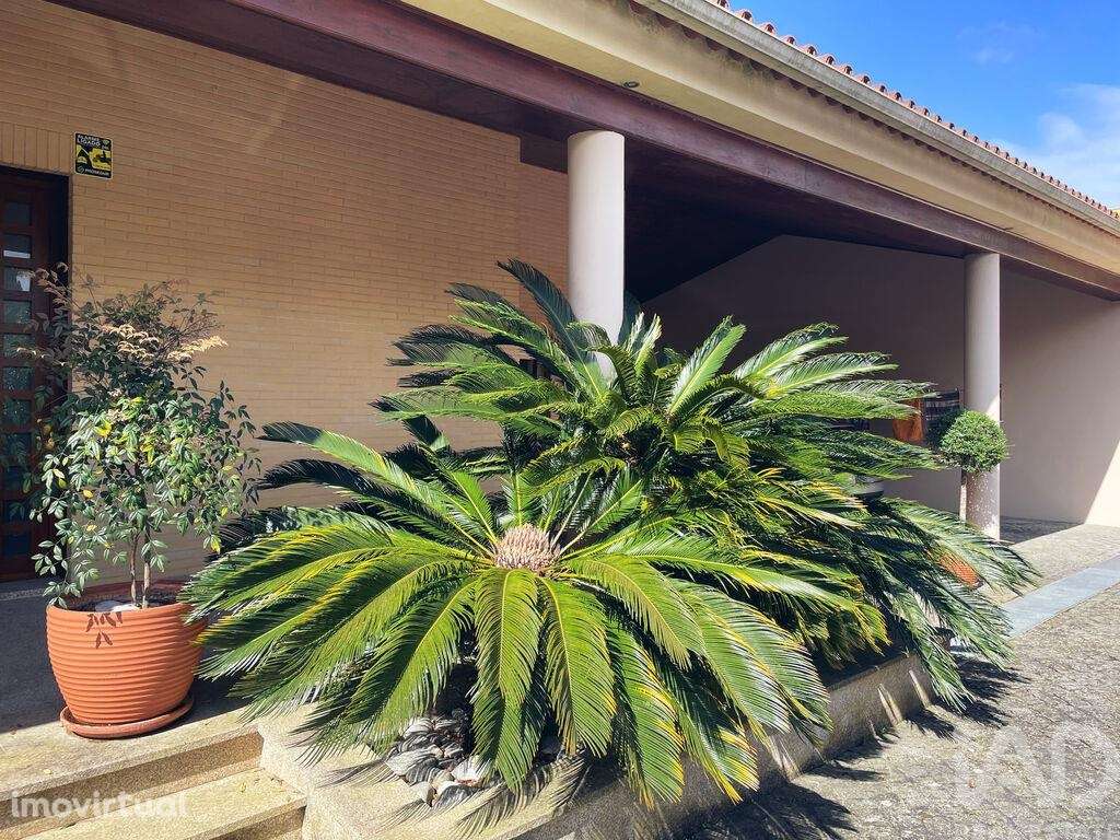 Casa / Villa T3 em Anha de 245,00 m2 - Grande imagem: 2/19