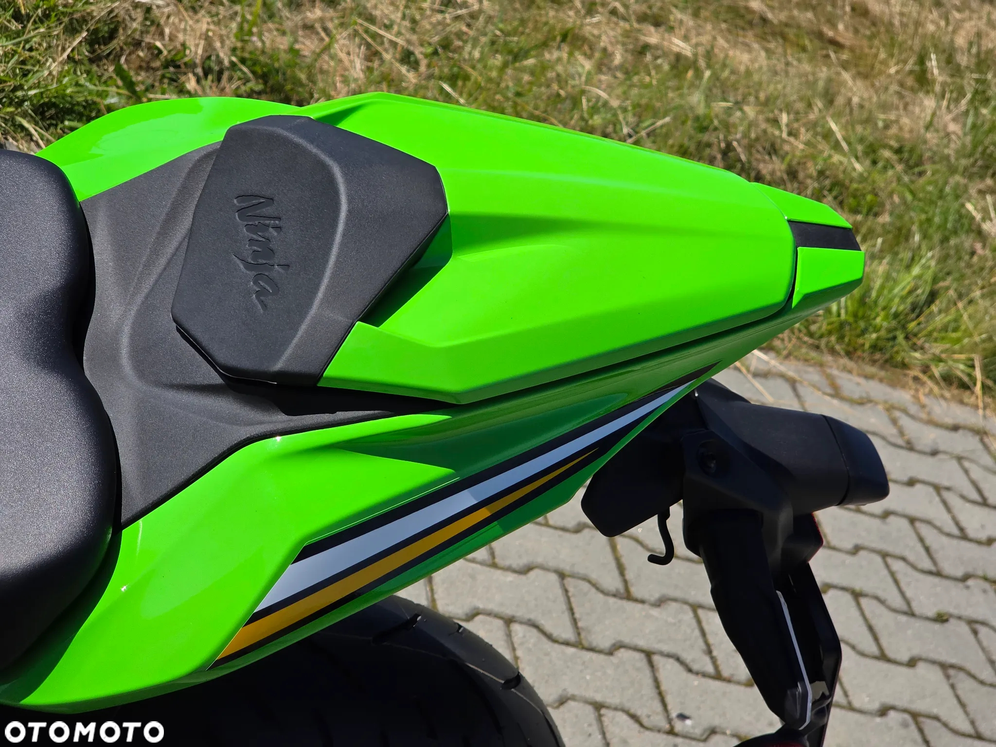 Kawasaki Ninja - 11