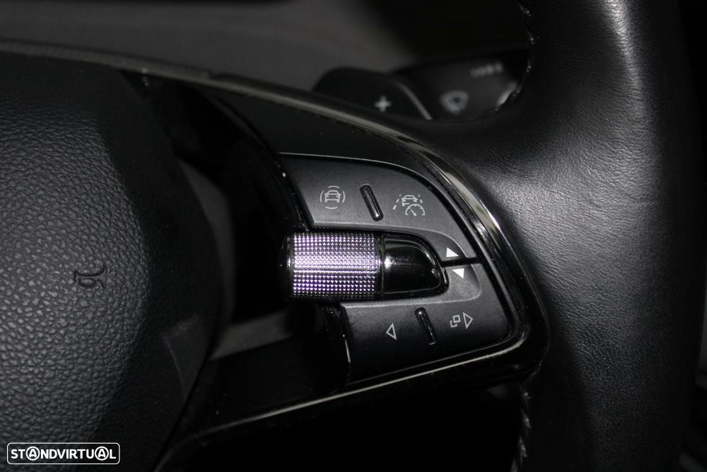 Skoda Enyaq iV 80 - 19