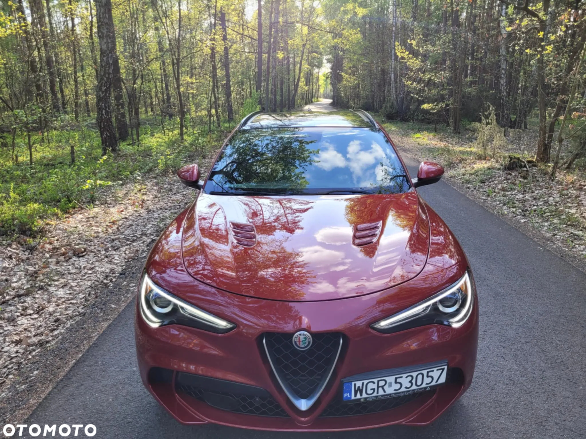 Alfa Romeo Stelvio V6 2.9 Bi-Turbo AT8-Q4 Quadrifoglio