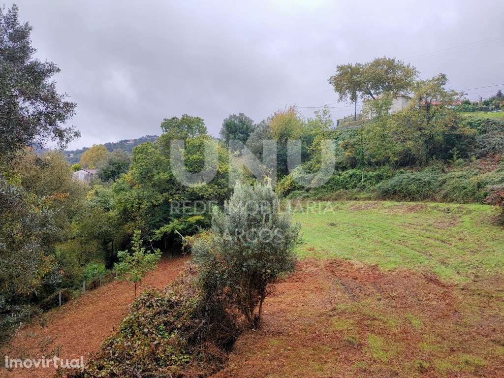 Quinta - Grande imagem: 5/31