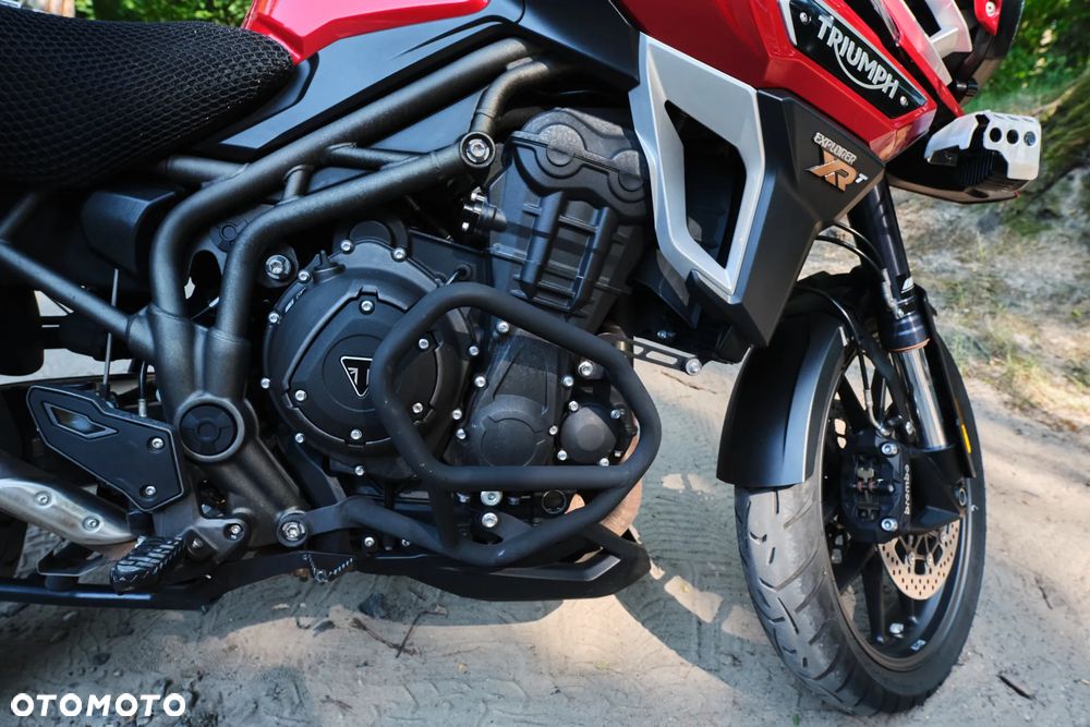 Triumph Tiger - 31