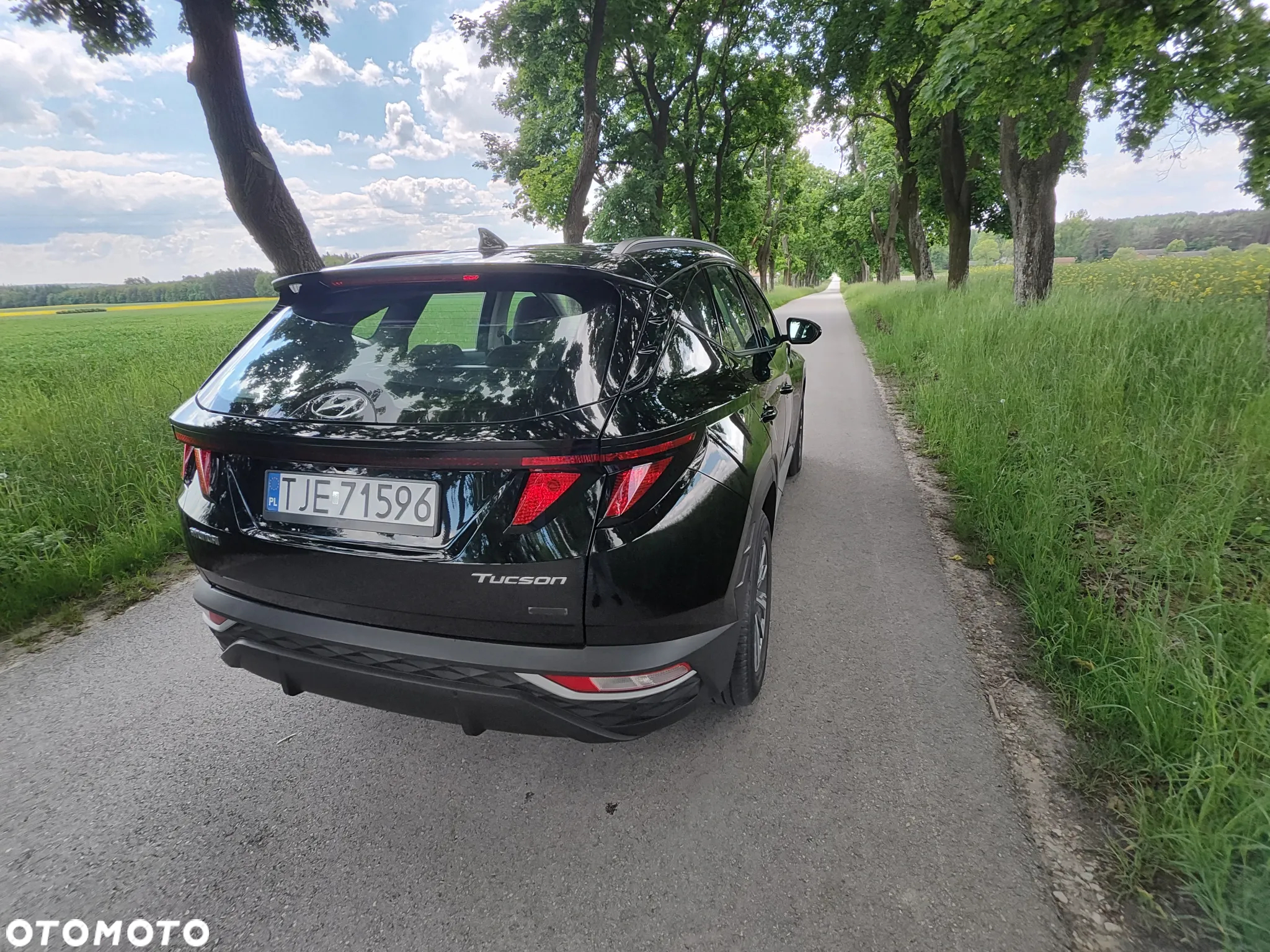 Hyundai Tucson 1.6 T-GDi 48V-Hybrid 2WD Select - 15