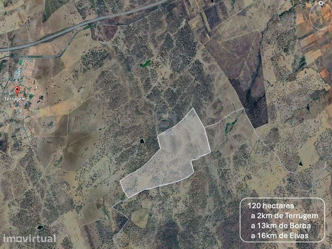 Herdade do Castelo Novo - Grande imagem: 2/16