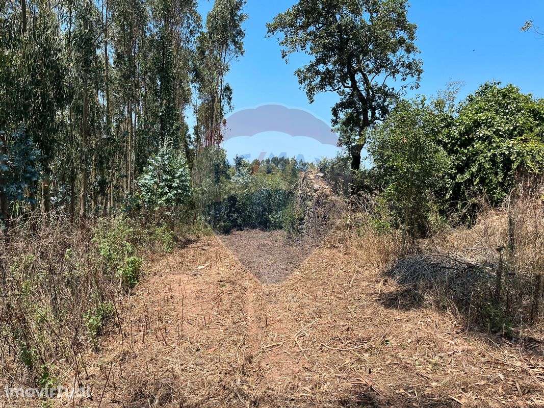 Terreno  para venda - Grande imagem: 2/11