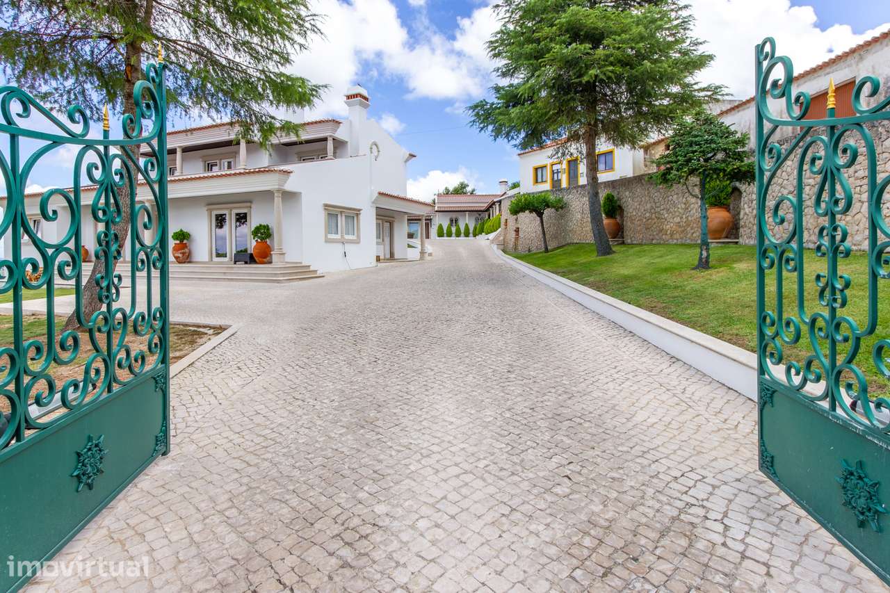 Pragança / Cadaval - Quinta com 9.000m² para habitação e Turismo Rural - Grande imagem: 3/57