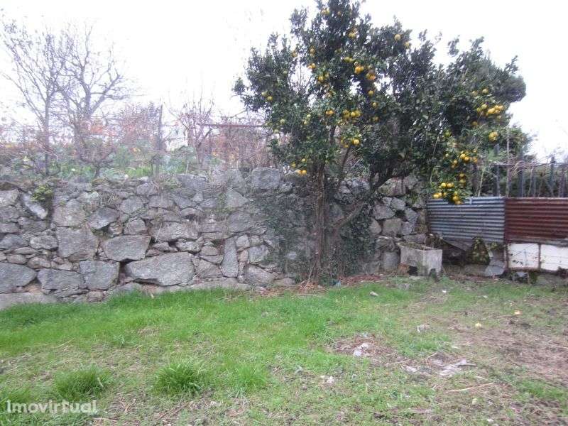 Moradias independentes venda , Lamego - Grande imagem: 4/8