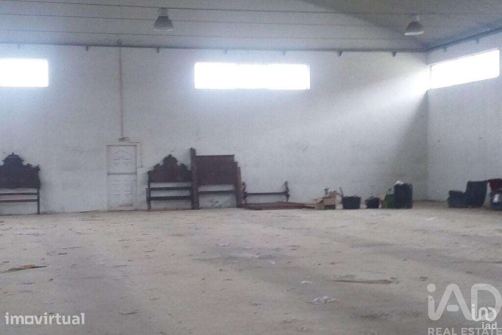 Hangar em Constantim e Vale de Nogueiras de 925,00 m2 - Grande imagem: 5/30