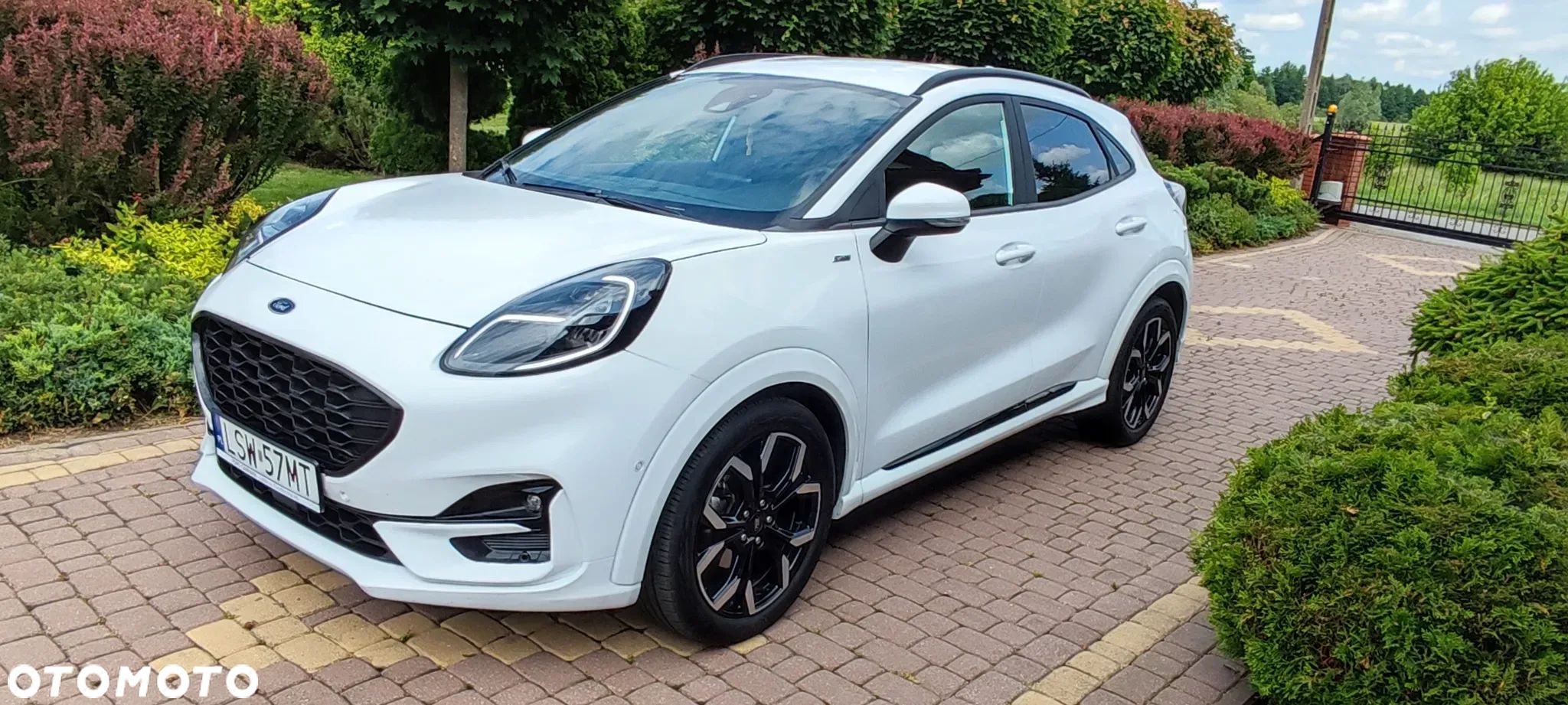 Ford Puma 1.0 EcoBoost mHEV ST-Line X Gold DCT - 1