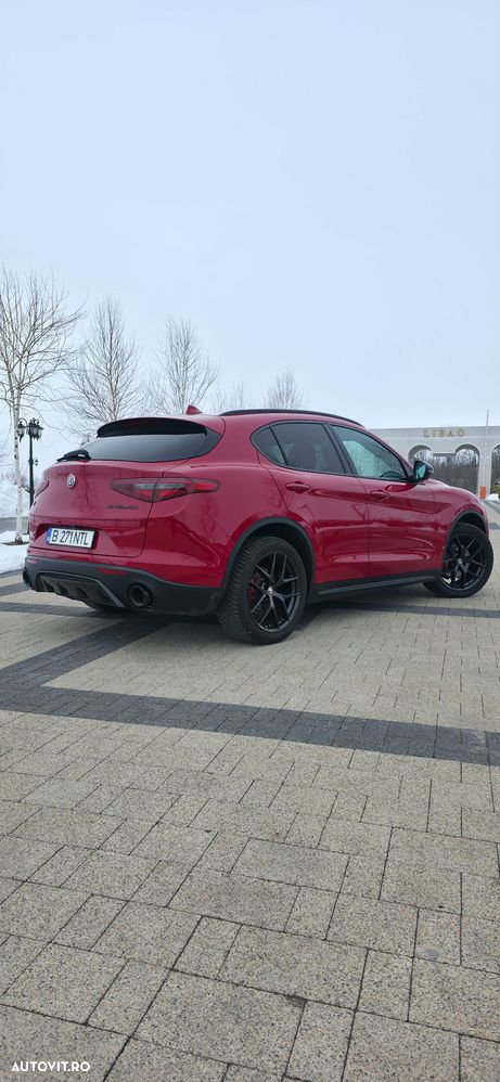 Alfa Romeo Stelvio 2.2 16V AT8 Q4 B-Tech - 12