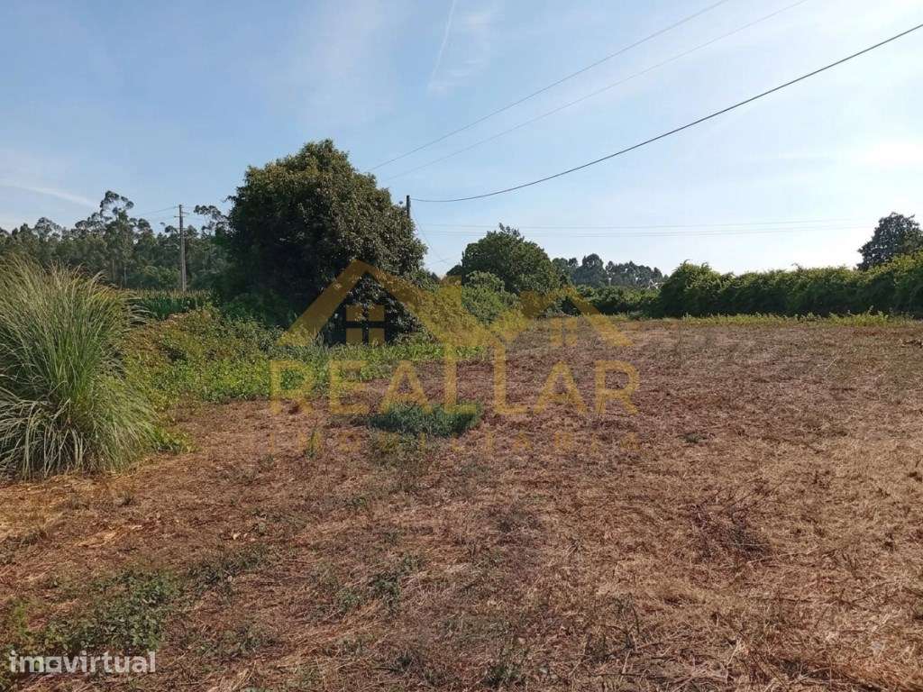 Terreno com 5.610 m² e elevado potencial de desenvolvimento Beiriz,... - Grande imagem: 3/21
