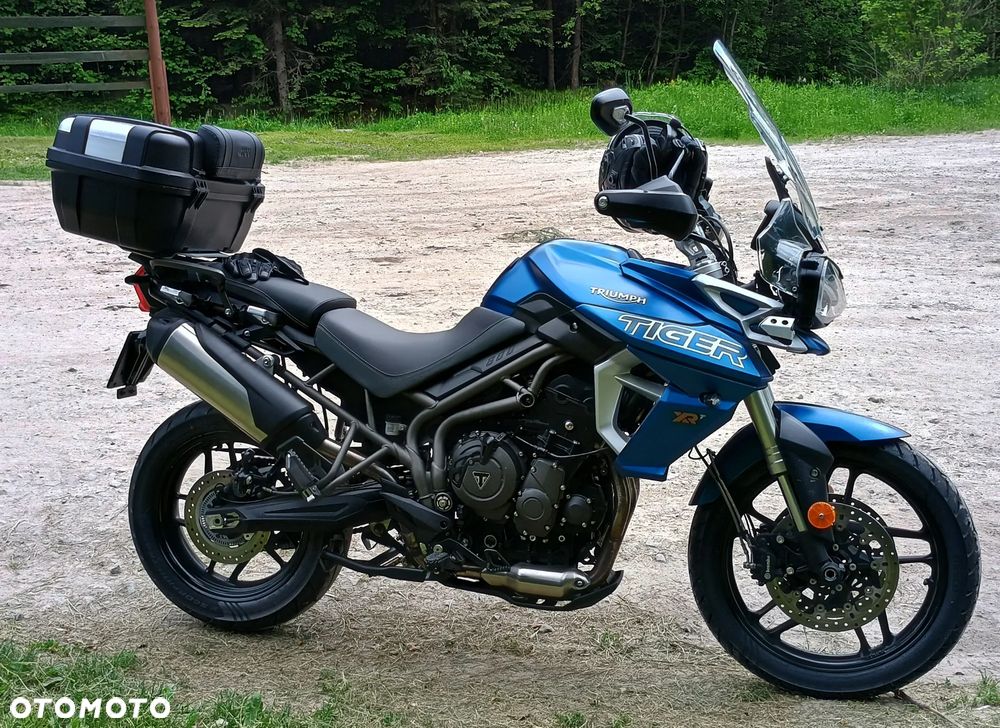 Triumph Tiger - 2