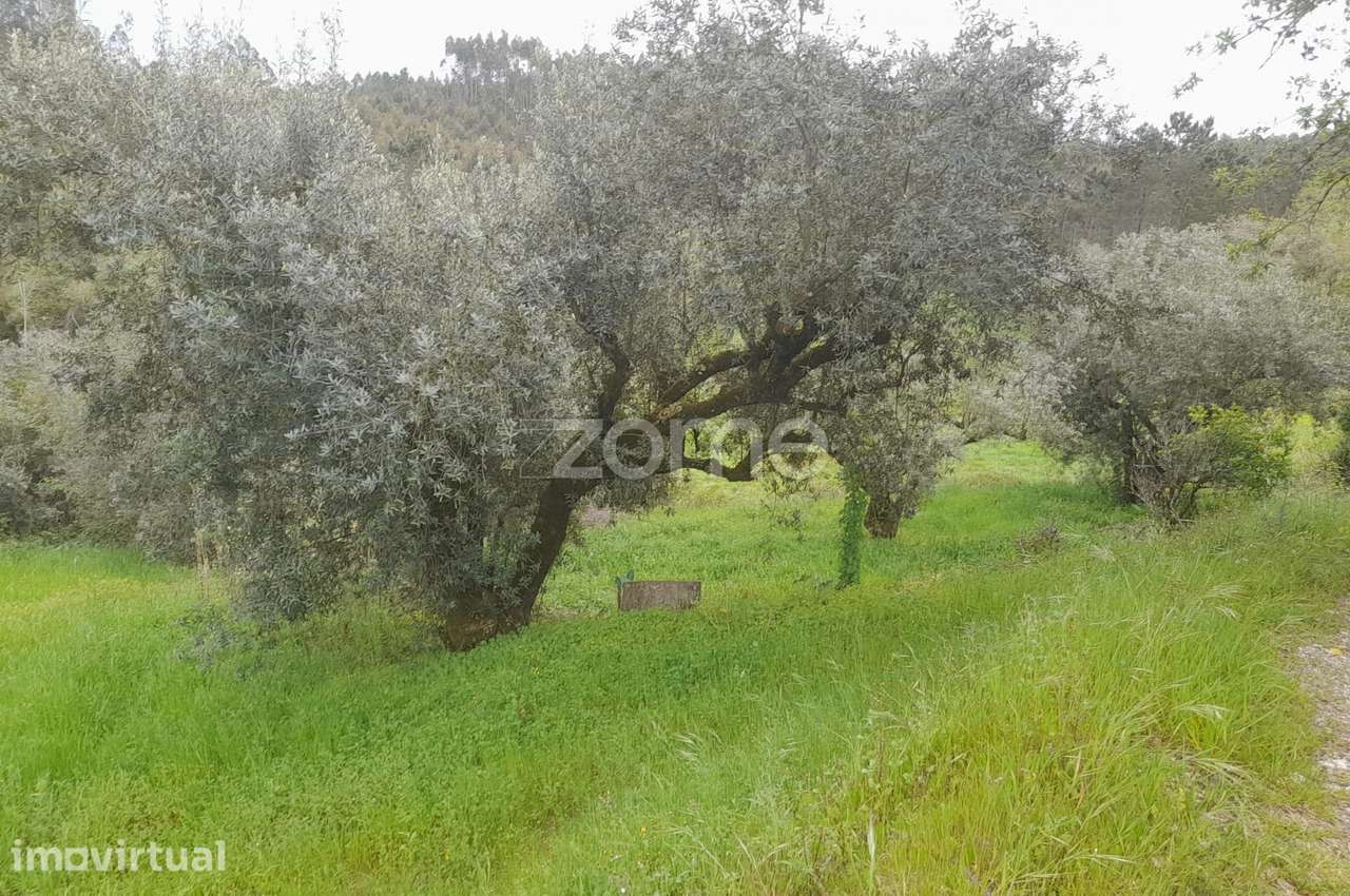 Terreno Rustico - Grande imagem: 4/25