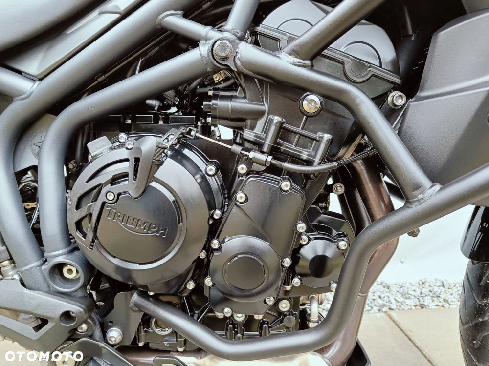 Triumph Tiger - 14