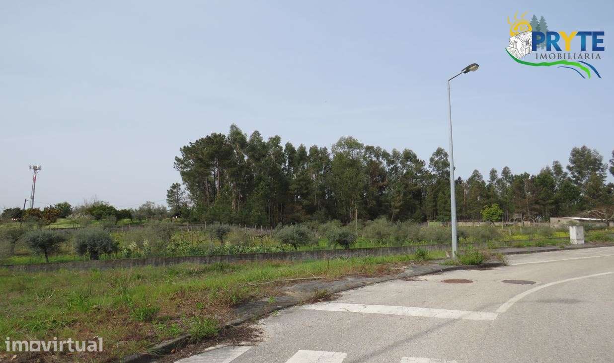 Lote para construção na entrada da Vila de Cernache do Bonjardim