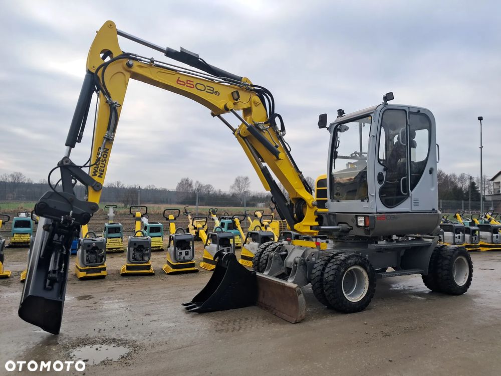 Wacker Neuson 6503 - 1