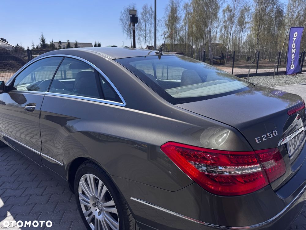 Mercedes-Benz Klasa E 250 CDI DPF BlueEFFICIENCY Automatik Avantgarde - 16
