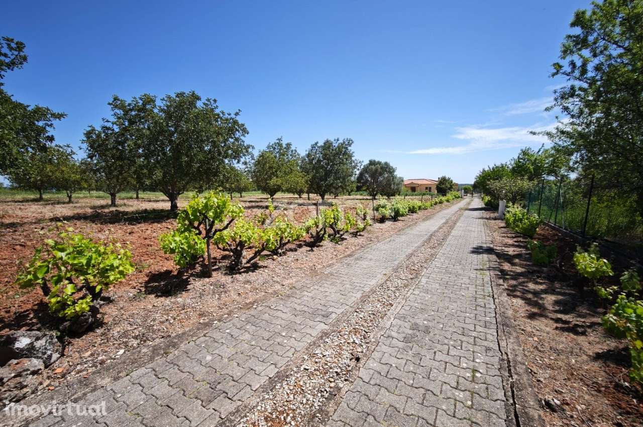 Moradia de Luxo V4 inserida em lote de 10.472m2, em Benafim - Grande imagem: 4/60