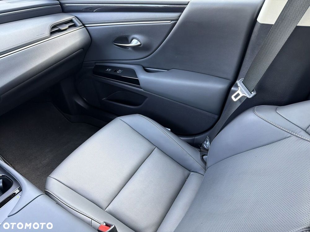 Lexus ES 300h F Sport Design - 19