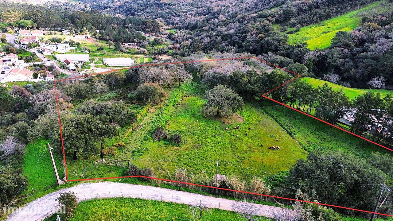 O Terreno Ideal para dar vida à sua moradia de sonho – Ribas de Cima, - Grande imagem: 2/9