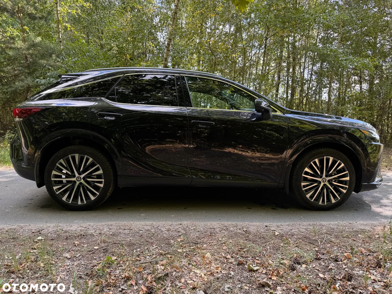Lexus RX 350h (hybrid) Business - 16