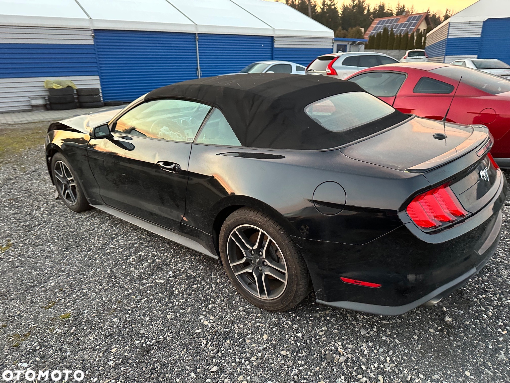Ford Mustang Cabrio 2.3 Eco Boost - 3