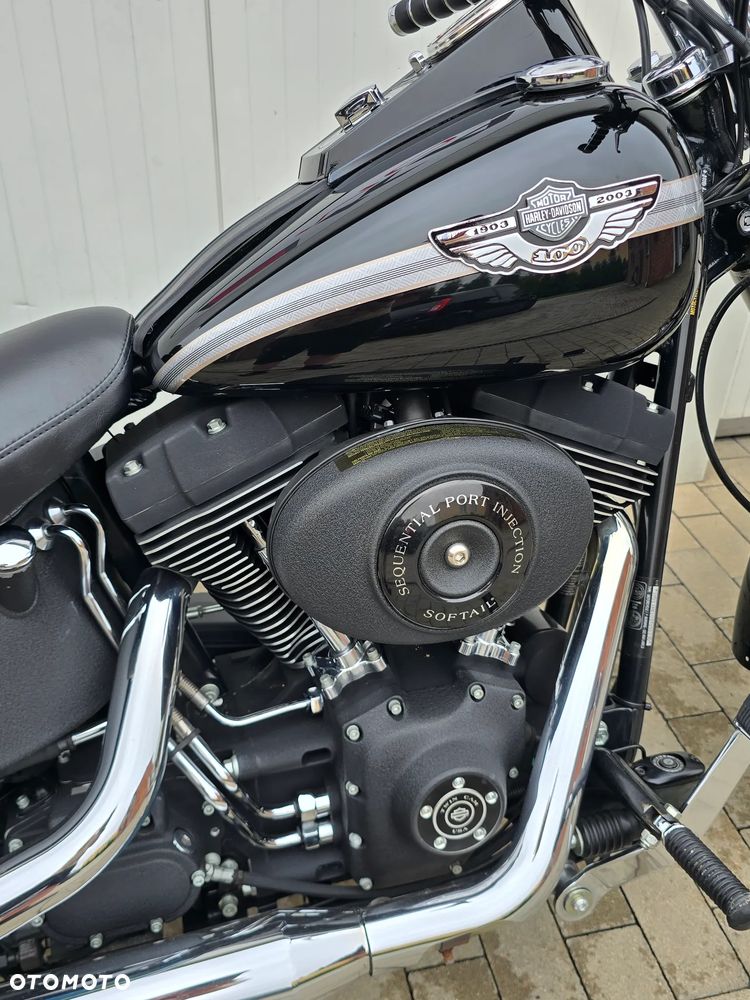 Harley-Davidson Softail Standard - 8