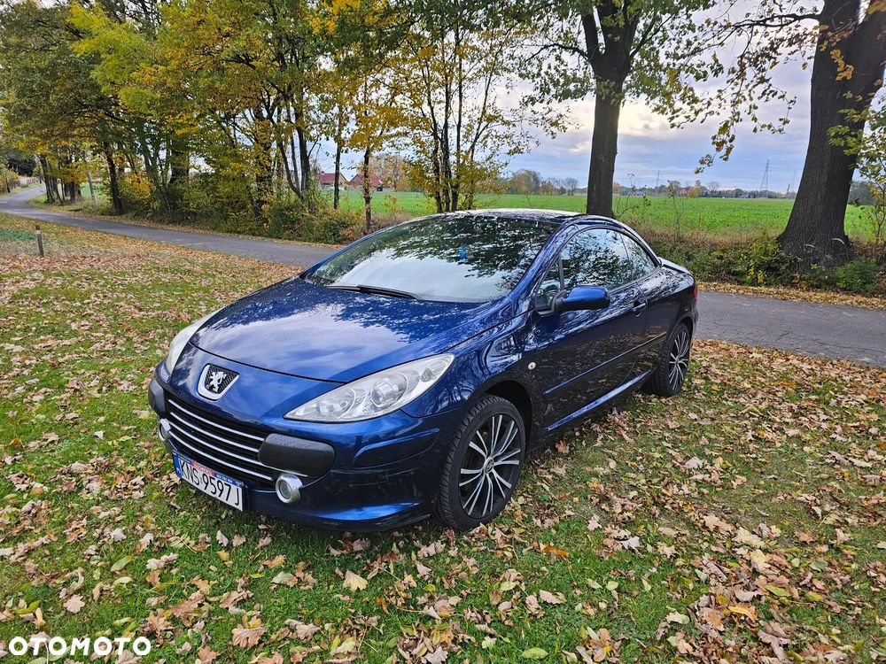 Peugeot 307 CC 140 JBL - 2