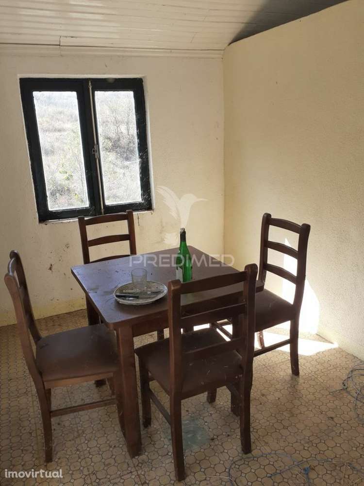 Quinta com mais 4 hectares na Serra da Aldeia Nova - Grande imagem: 4/23