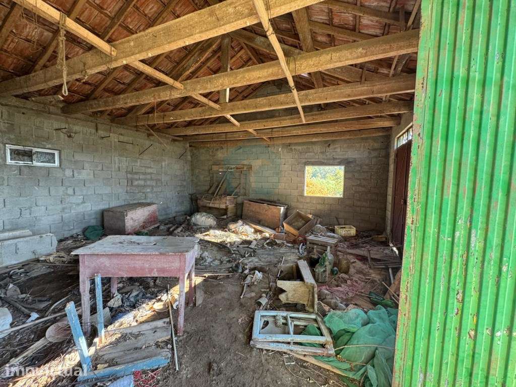 Quinta com Potencial em Marco de Canaveses - Grande imagem: 5/31