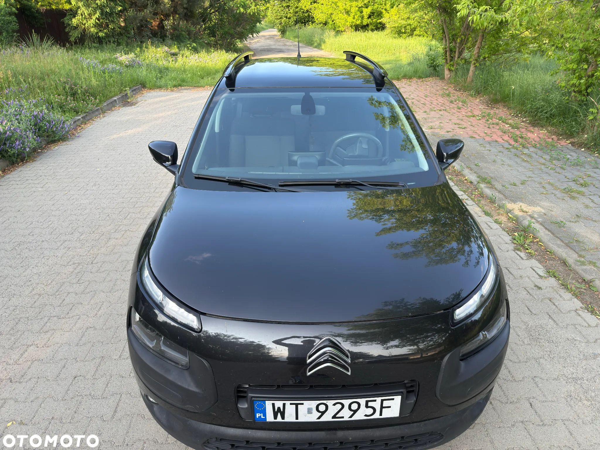 Citroën C4 Cactus 1.6 BlueHDi Feel - 8
