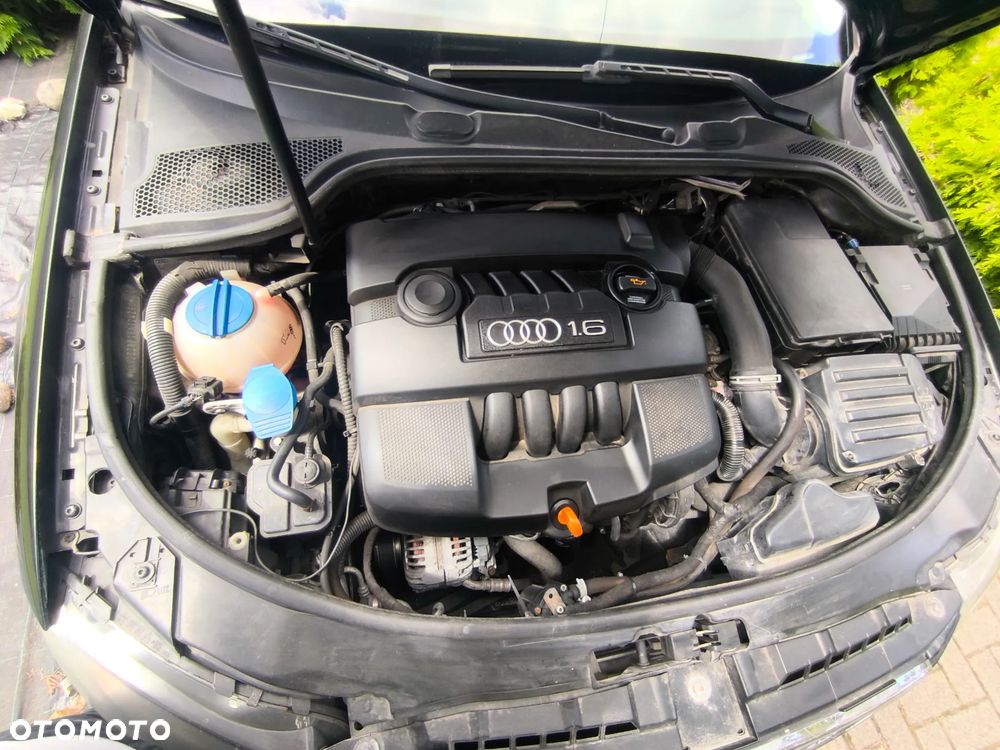 Audi A3 3-drzwiowe 1.6 Ambiente - 7