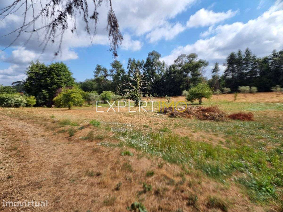 Moradia em granito para recuperar com 17.509 m2 de terreno - Grande imagem: 5/10