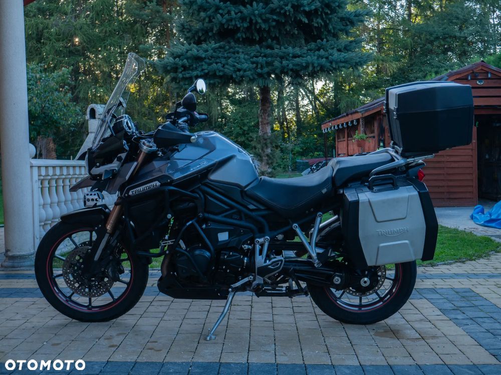 Triumph Tiger - 8