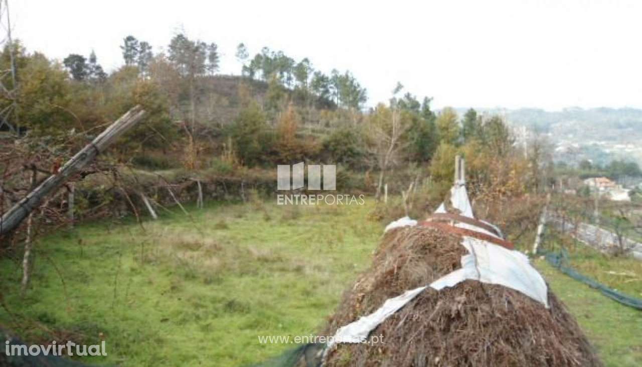 Venda Terreno, São Cristóvão de Nogueira, Cinfães - Grande imagem: 3/13