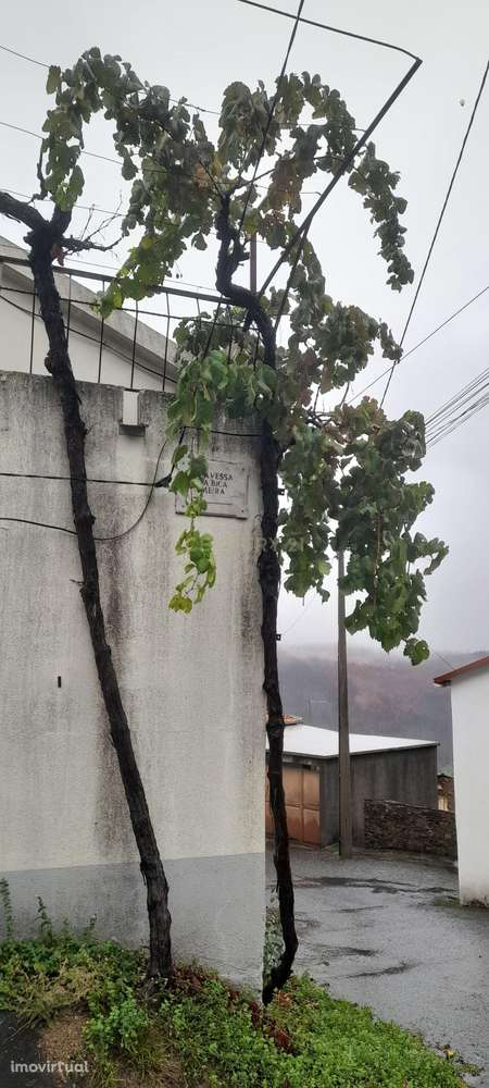 MORADIA DE GAVETO | ADURÃO | DORNELAS DO ZÊZERE - Grande imagem: 4/27