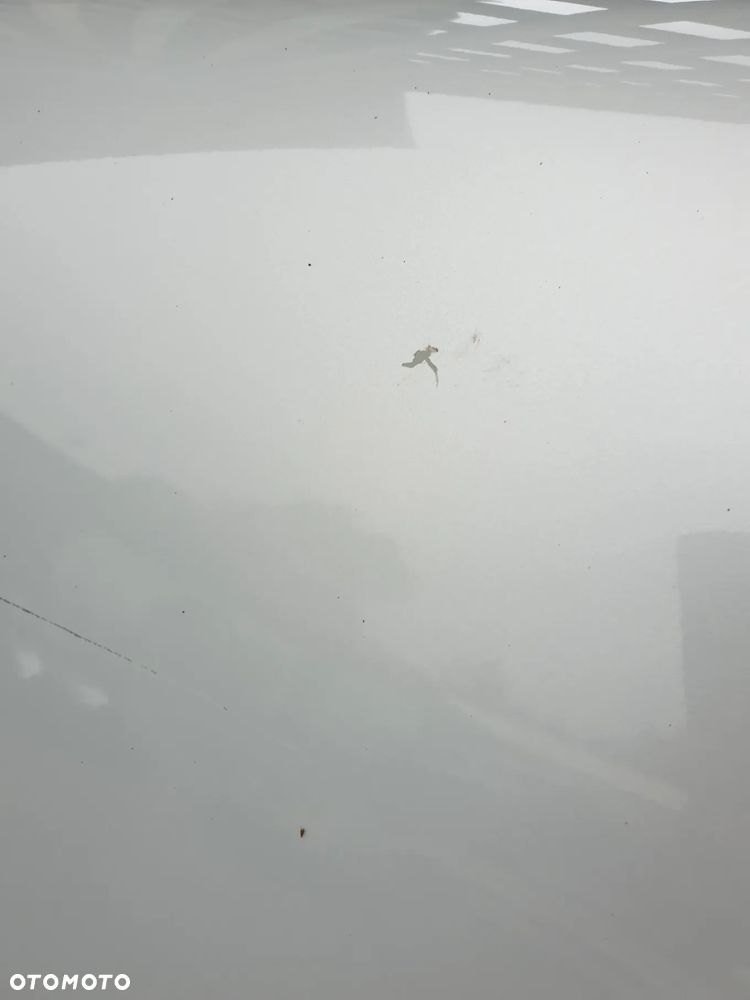 Drzwi Prawe Kompletne europa Mini R56 - 5