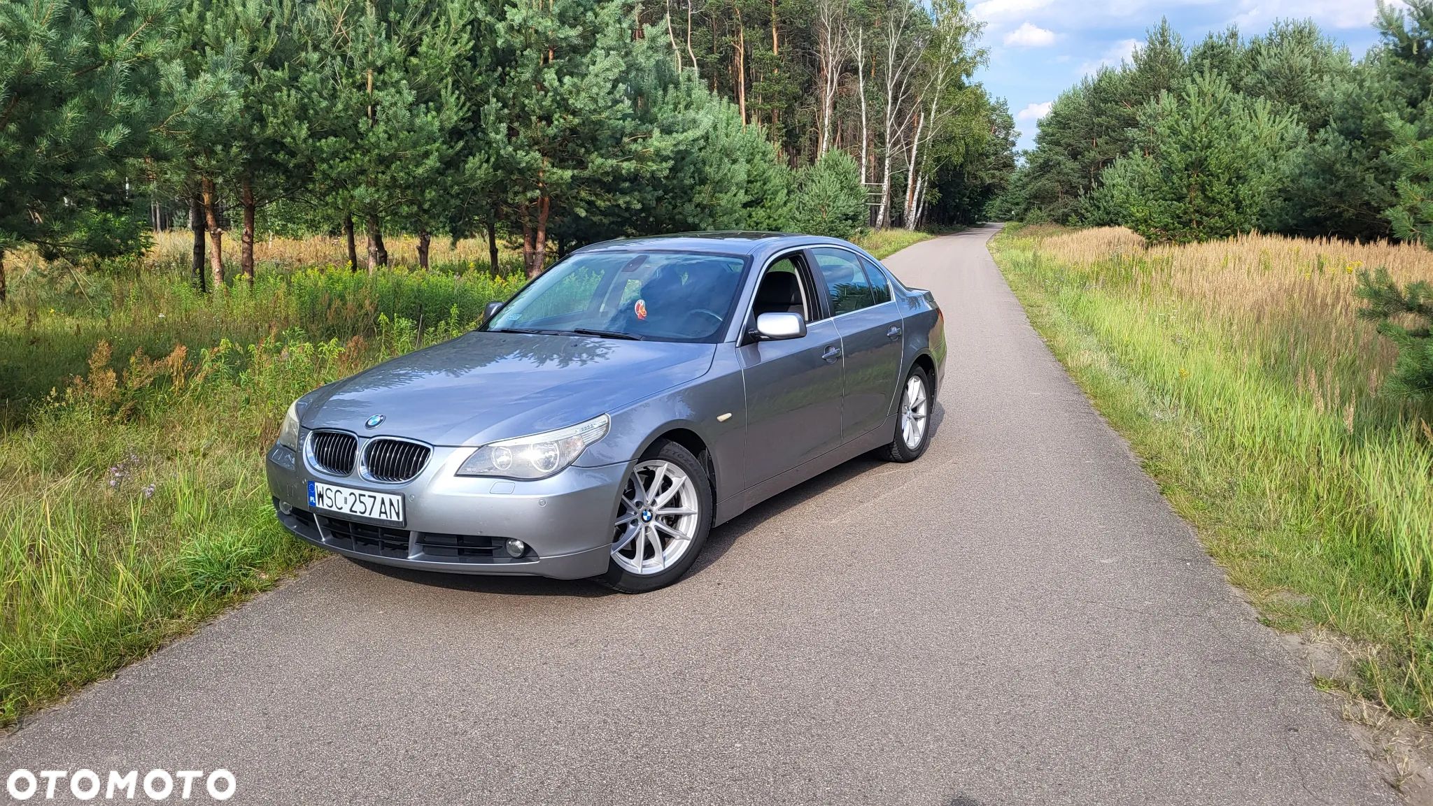 BMW Seria 5 - 1