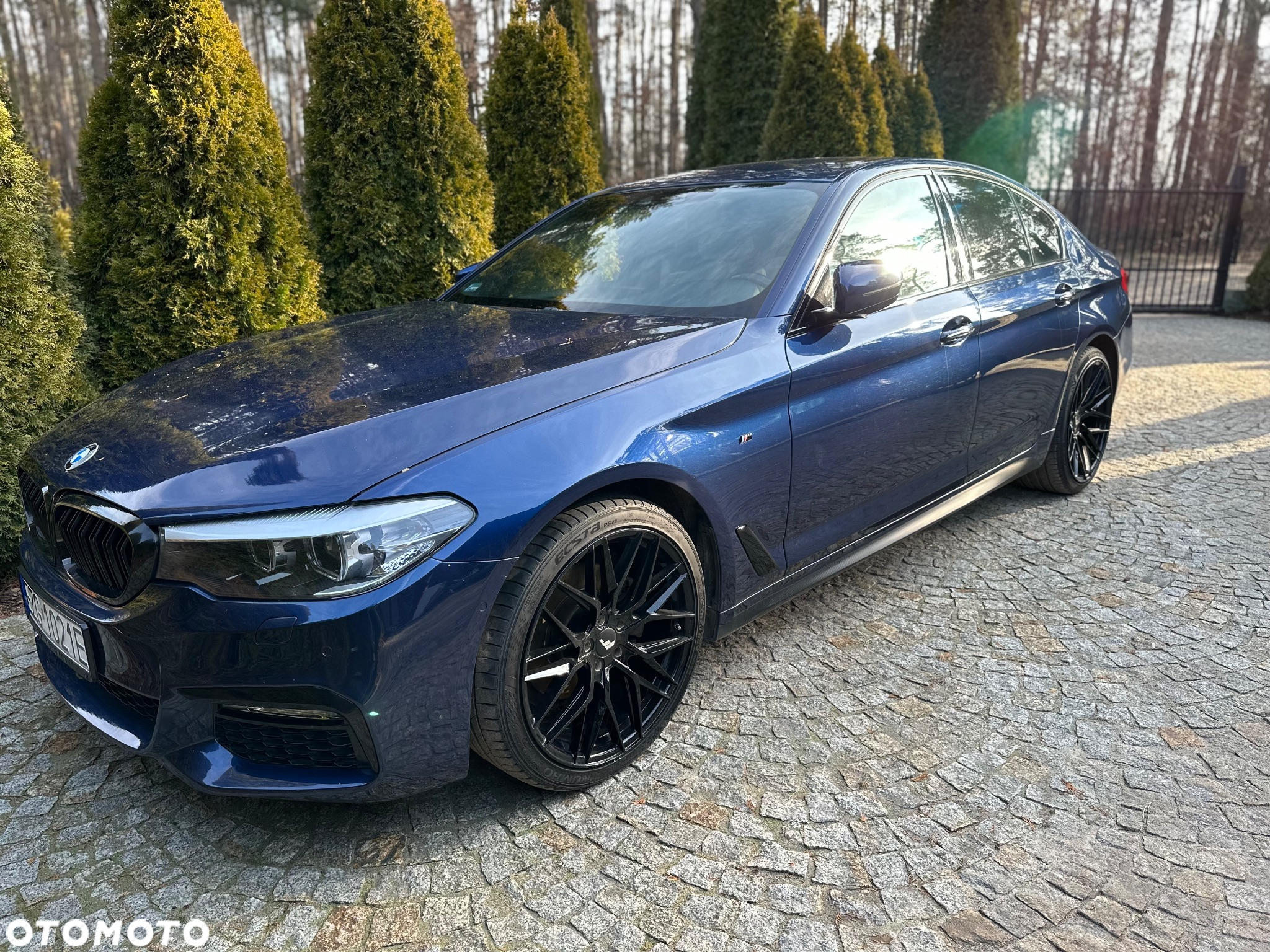 BMW Seria 5 520d xDrive - 10