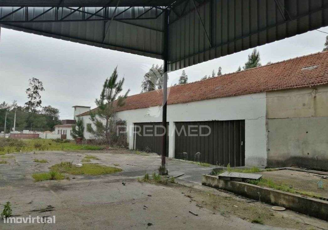 Armazém - Anadia - Grande imagem: 2/13