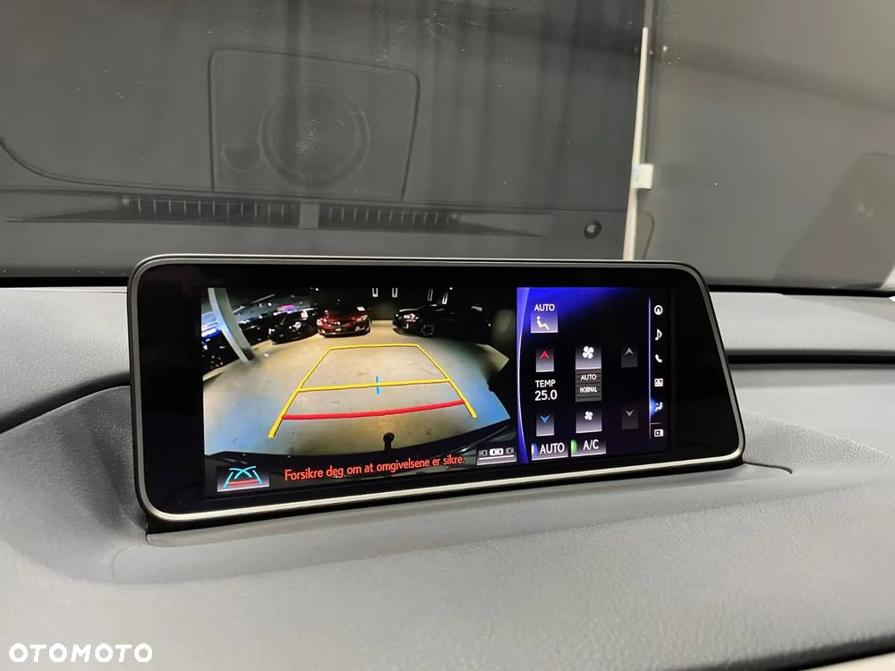 Lexus RX 450h (hybrid) - 21