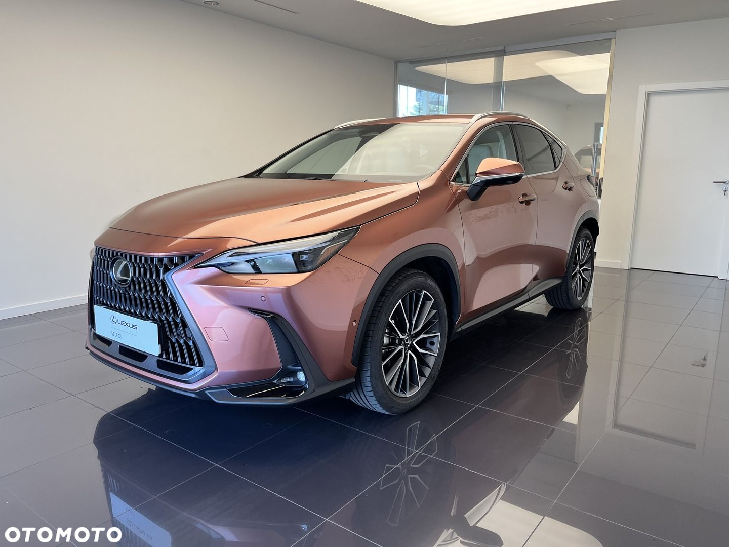 Lexus NX - 2