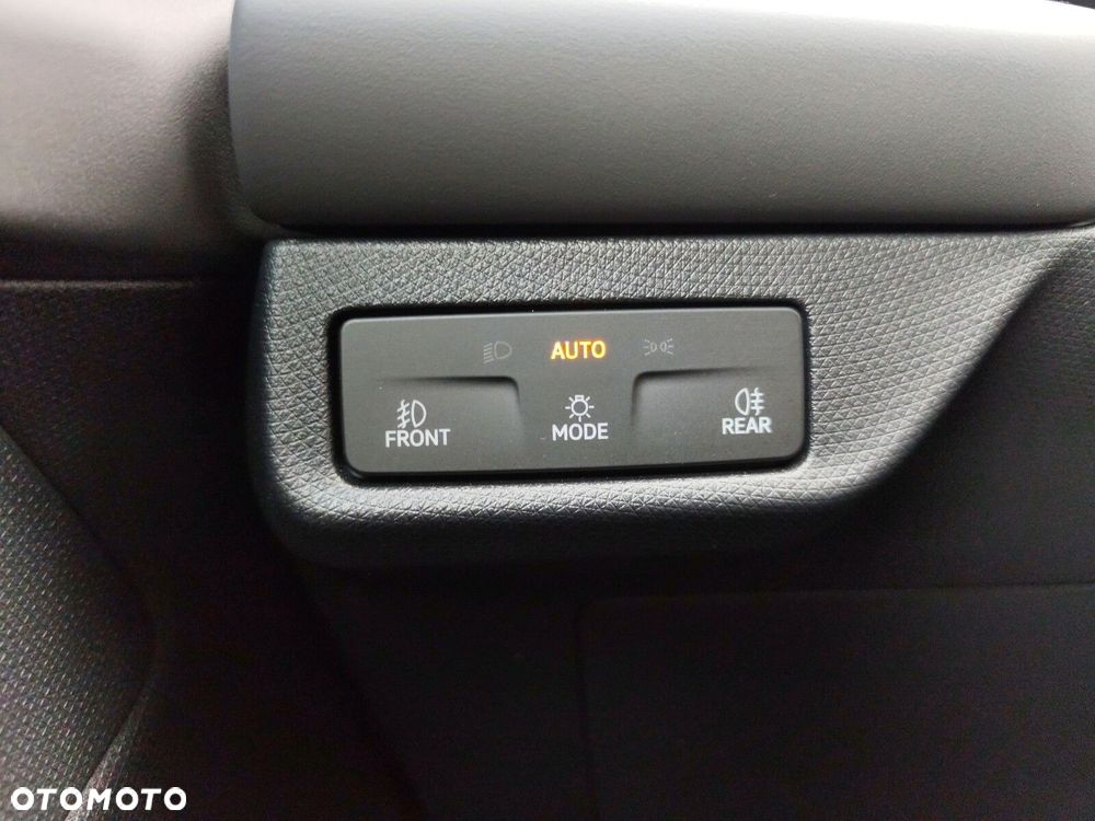 Cupra Terramar - 21