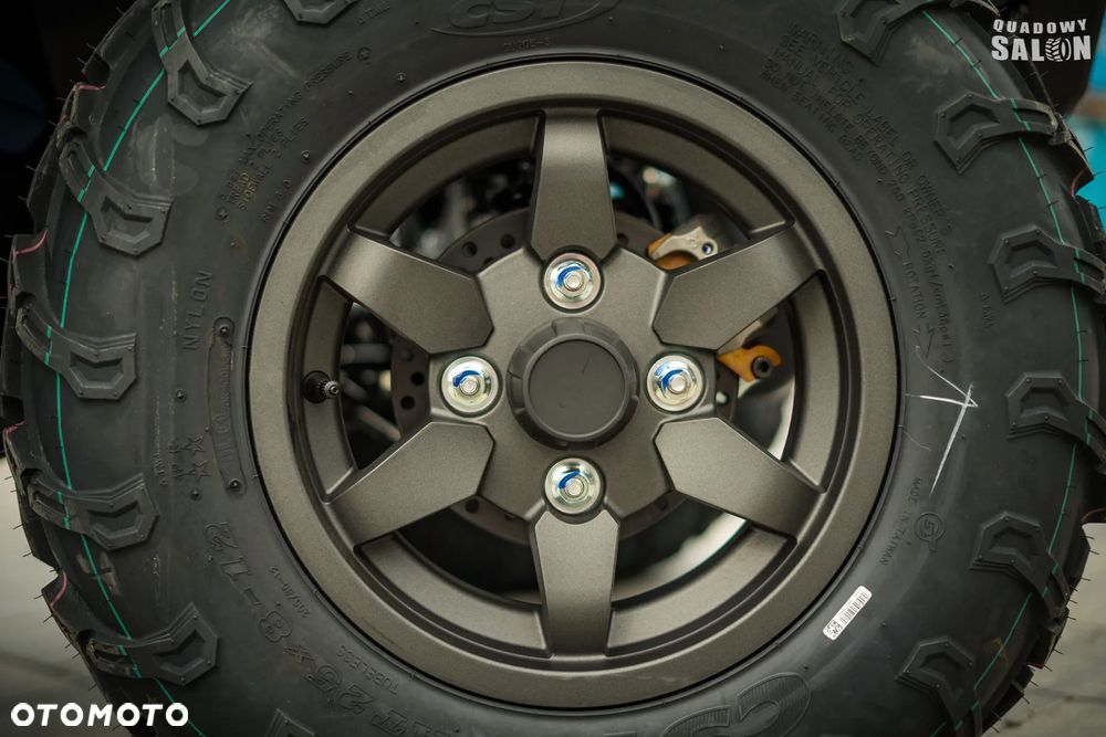 Kawasaki Brute Force - 23