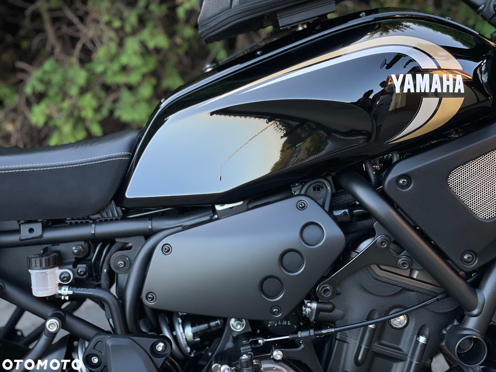 Yamaha XSR - 24