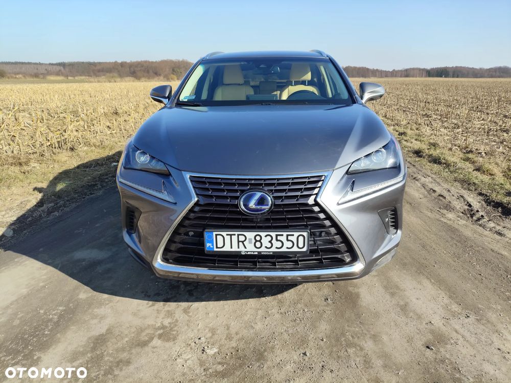 Lexus NX 300h Comfort AWD - 2